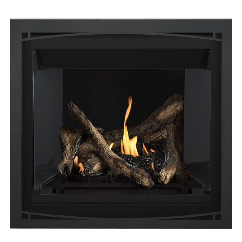 Napoleon Altitude 36" Direct Vent Fireplace | A36 - view 19