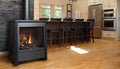 Kingsman FDV451 Freestanding Direct Vent Gas Stove