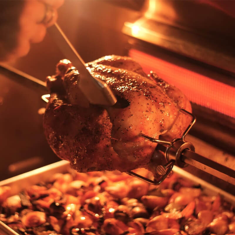 Fire Magic Echelon Diamond E660i 30 Inch Built-In Gas Grill w/ Analog Thermometer & Rotisserie