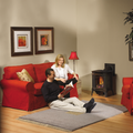Napoleon Arlington Direct Vent Cast Iron Gas Stove | GDS20