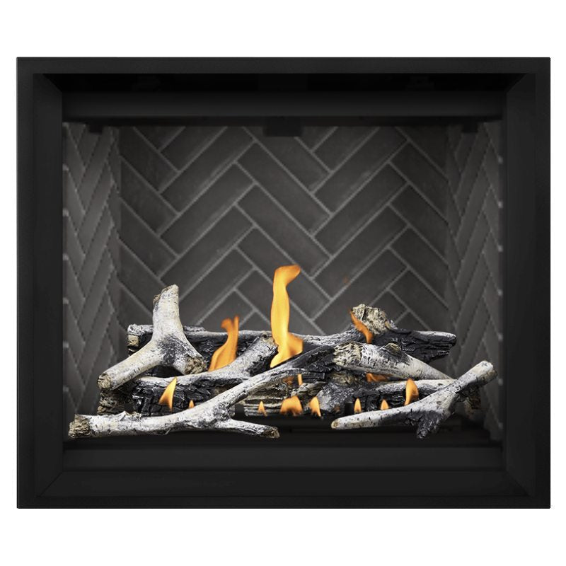 Napoleon Altitude X 42" Direct Vent Fireplace | AX42-2 - view 21