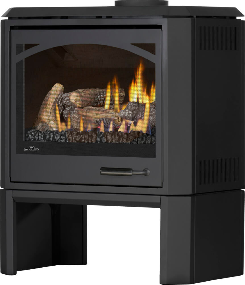 Napoleon Havelock Elite Direct Vent Gas Stove | GDS50N-2 - view 5