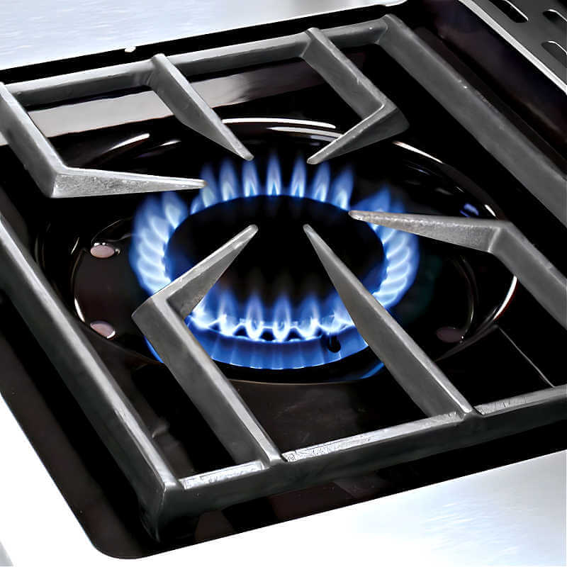 Broil King Imperial QS 690i 6-Burner Propane Gas Grill Center