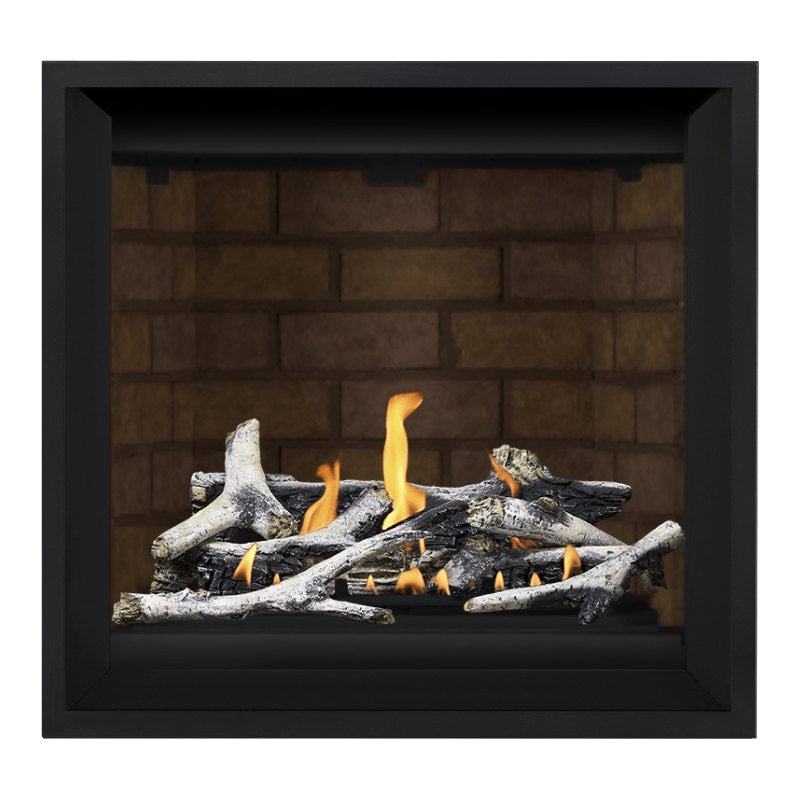 Napoleon Altitude X 36" Direct Vent Fireplace | AX36-2 - view 27