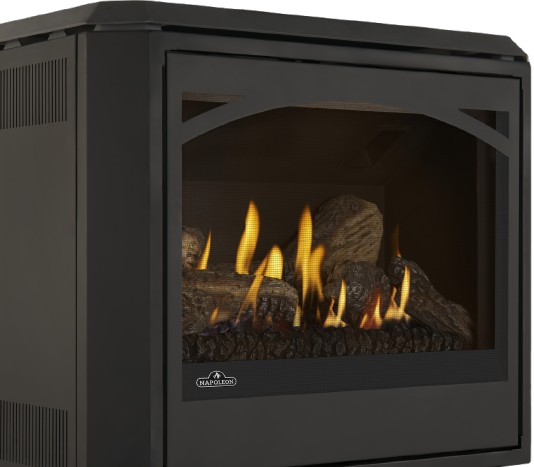 Napoleon Havelock Elite Direct Vent Gas Stove | GDS50N-2 - view 8