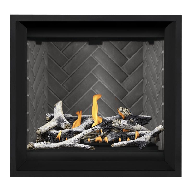 Napoleon Altitude X 36" Direct Vent Fireplace | AX36-2 - view 36