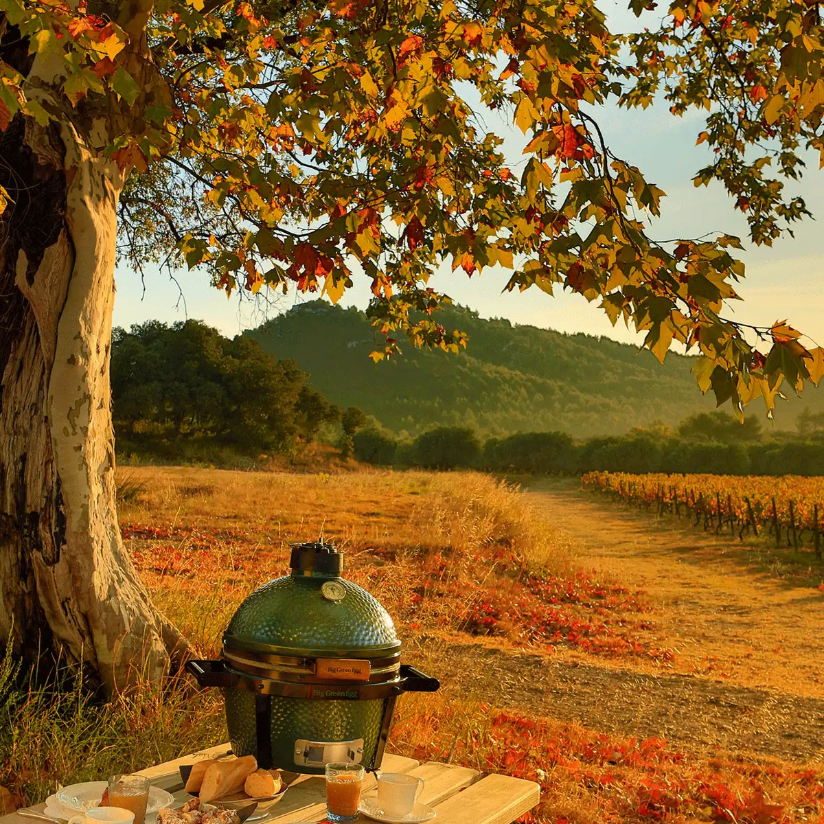 MiniMax Big Green Egg – view 4