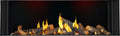 Napoleon Tall Bay Luxuria 62 Three-Sided Direct Vent Gas Fireplace | TLVX62LBN