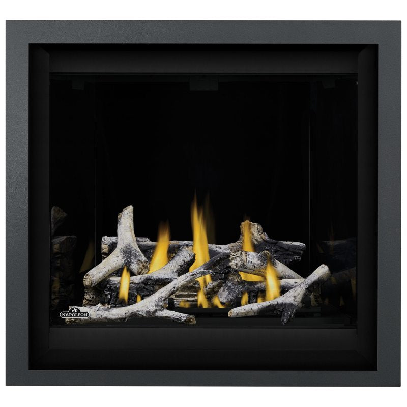 Napoleon Altitude X 36" Direct Vent Fireplace | AX36-2 - view 16