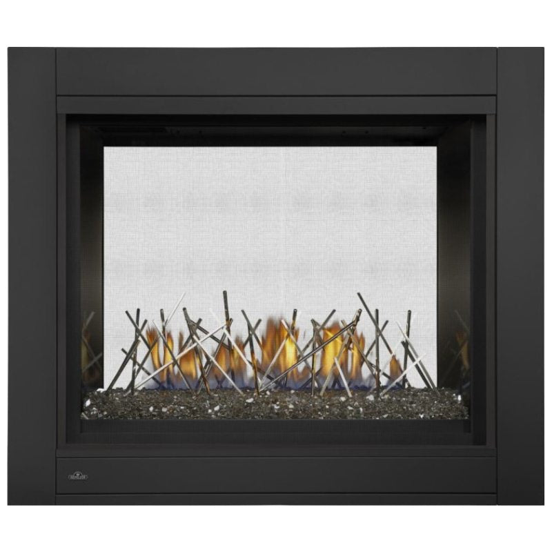 Napoleon Ascent Multi View See Thru Direct Vent Gas Fireplace | BHD4 - view 13