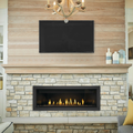 Napoleon Ascent Linear 56 Direct Vent Gas Fireplace | BL56