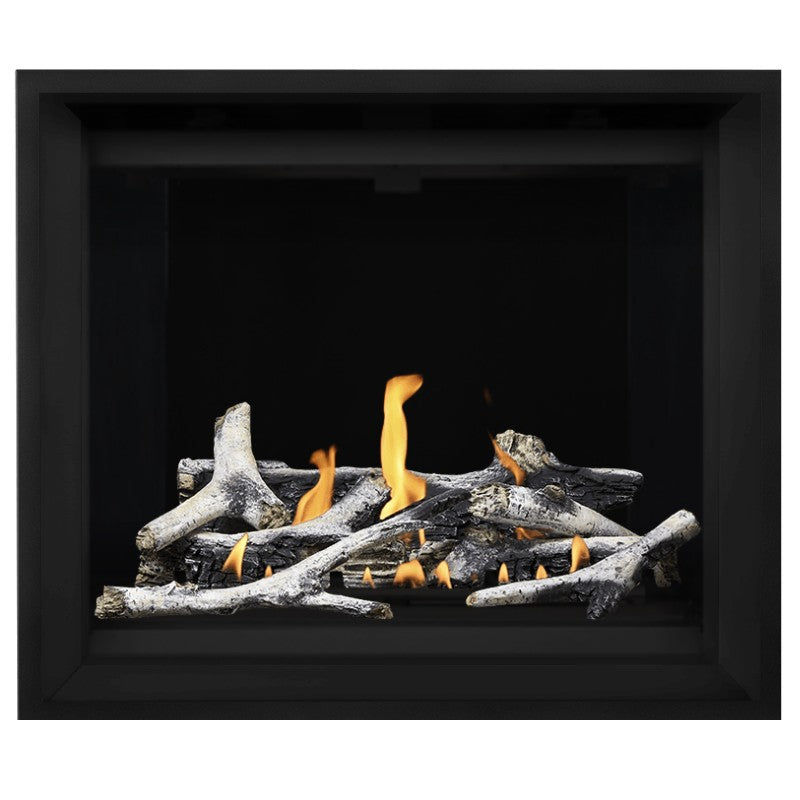 Napoleon Altitude X 42" Direct Vent Fireplace | AX42-2 - view 13
