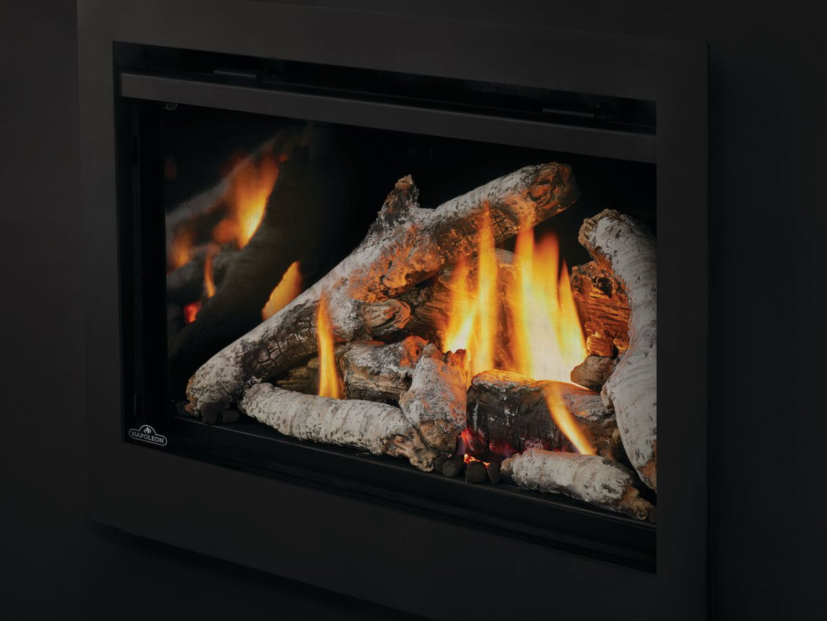 Napoleon Rosedale 3 Direct Vent Gas Fireplace Insert | RD3N - view 5