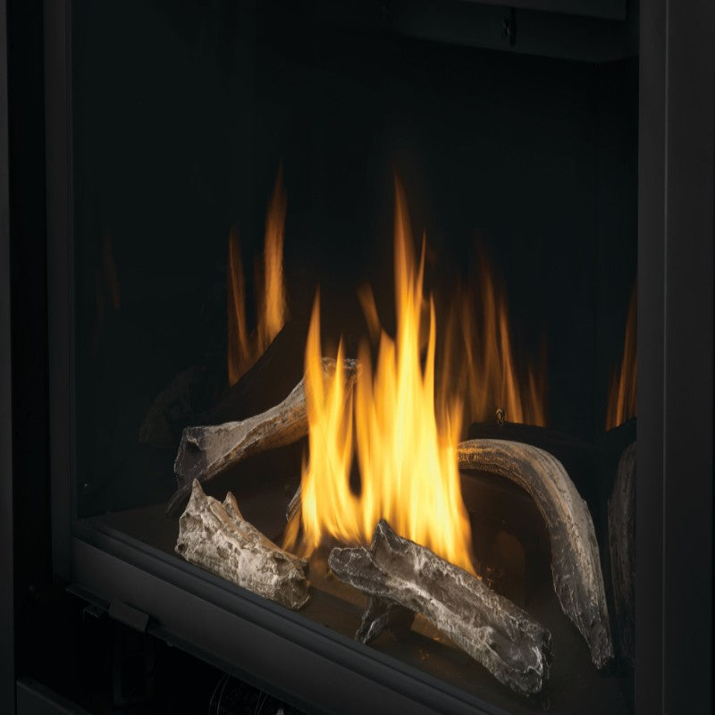 Napoleon Ascent Multi View See Thru Direct Vent Gas Fireplace | BHD4 - view 10