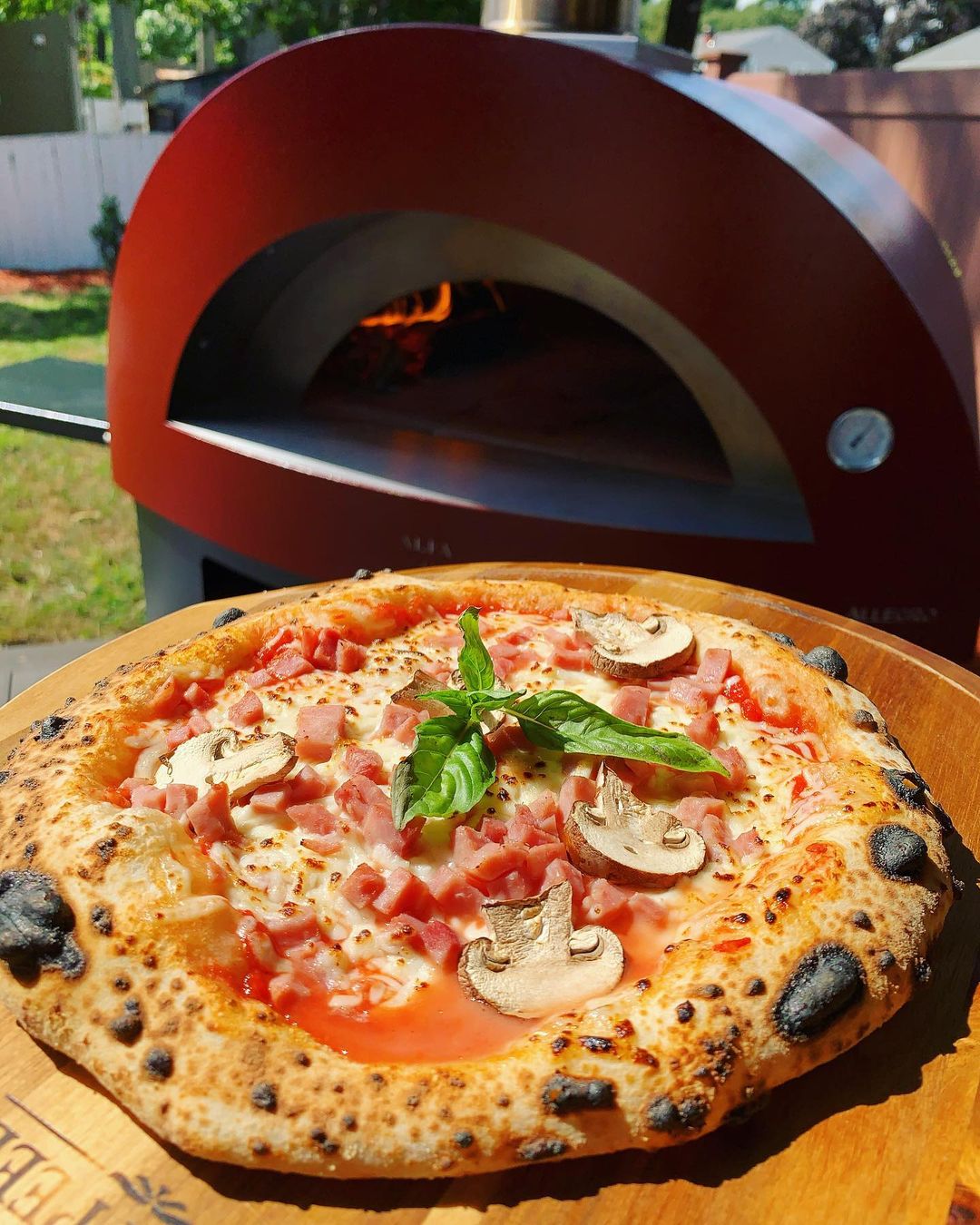 Alfa Moderno 5 Pizze Outdoor Gas Hybrid Pizza Oven with Black Base - Freestanding - Fire Yellow