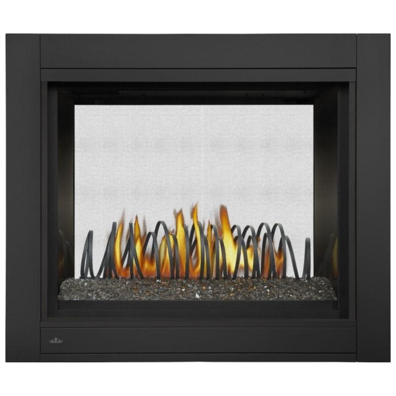 Napoleon Ascent Multi View See Thru Direct Vent Gas Fireplace | BHD4 - view 14