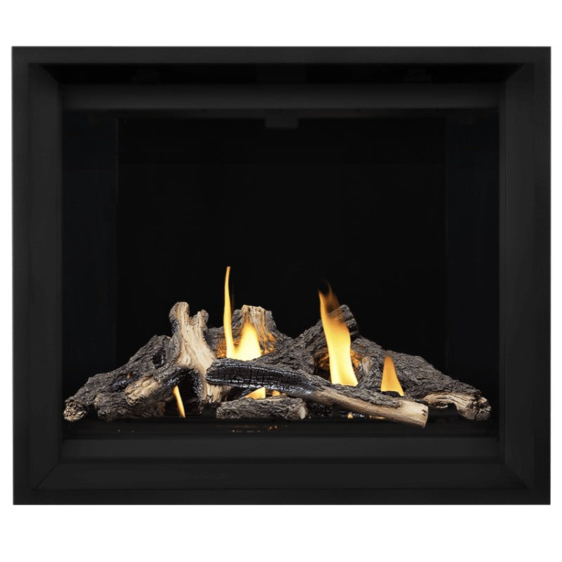 Napoleon Altitude X 42" Direct Vent Fireplace | AX42-2 - view 8