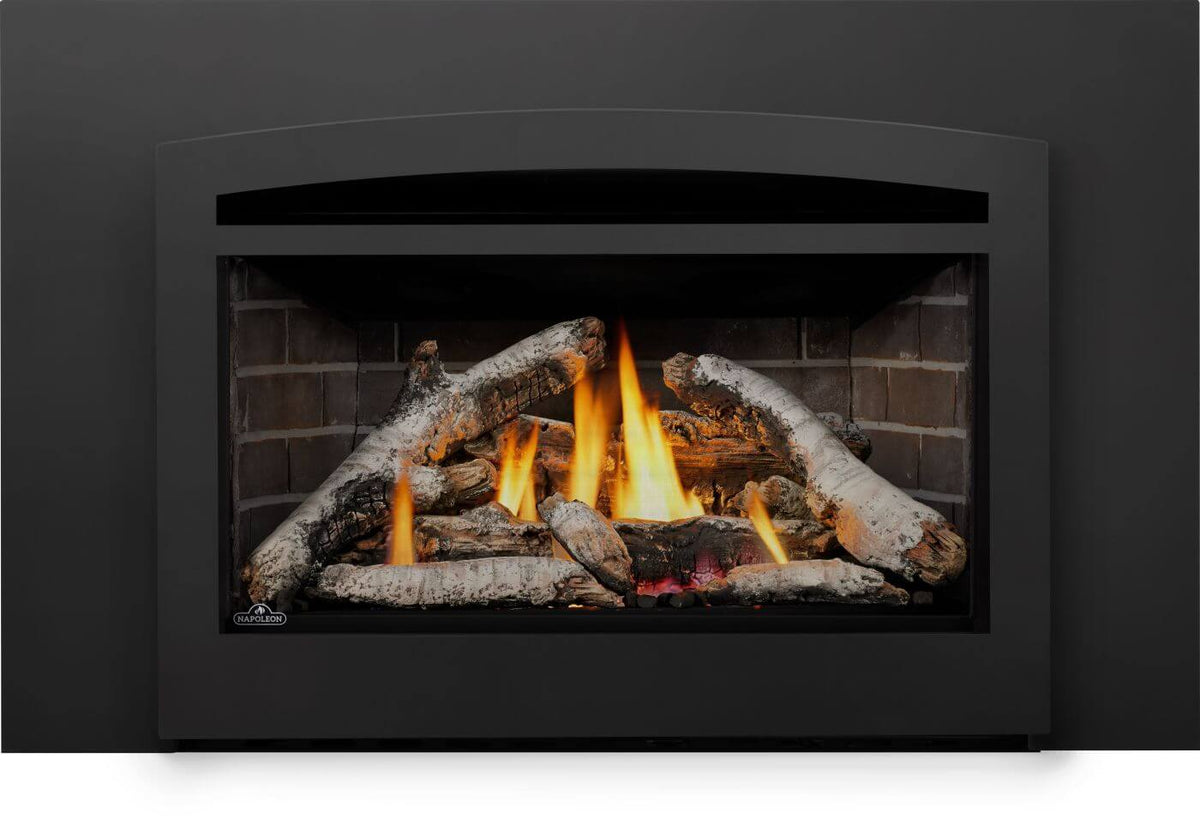 Napoleon Rosedale 3 Direct Vent Gas Fireplace Insert | RD3N - view 2
