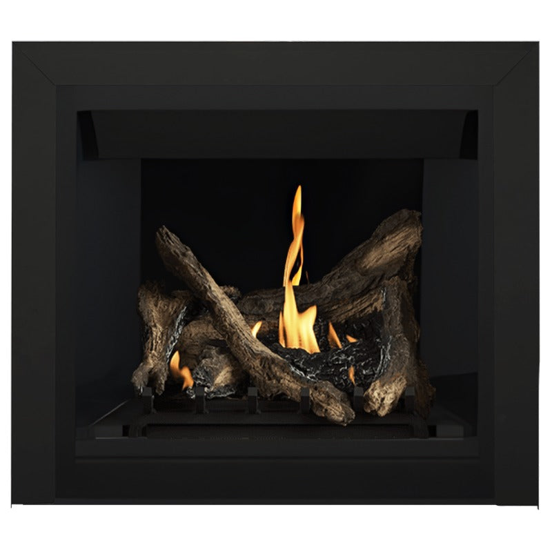 Napoleon Altitude 36" Direct Vent Fireplace | A36 - view 40