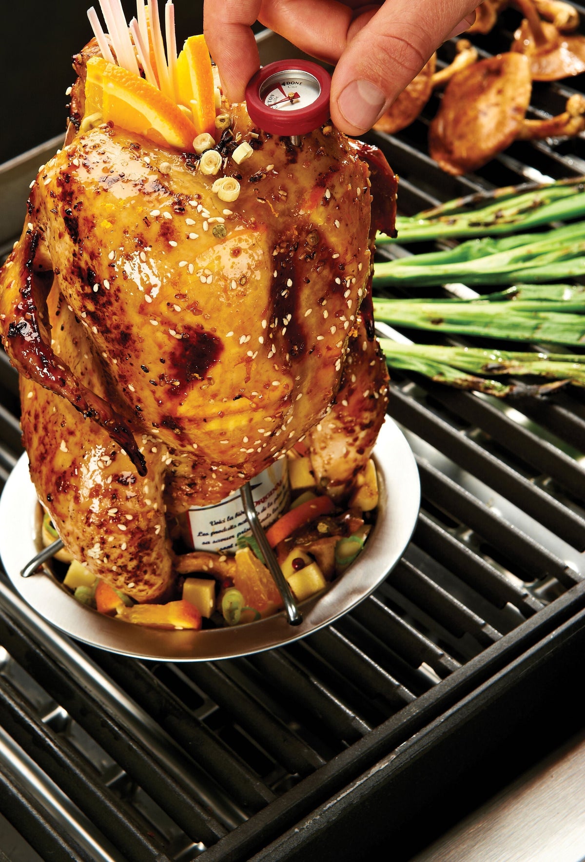 Broil King Chicken Roaster – view 3
