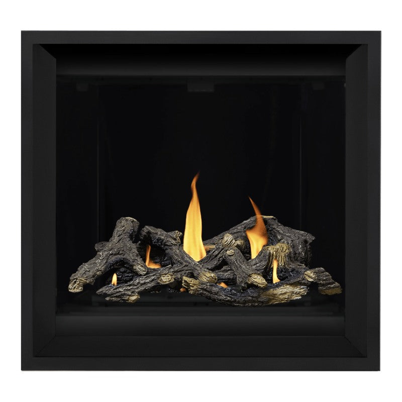 Napoleon Altitude X 36" Direct Vent Fireplace | AX36-2 - view 29