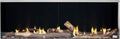 Napoleon Galaxy 62 Outdoor Gas Fireplace | GSS62NE
