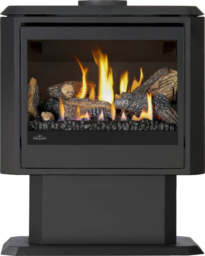 Napoleon Havelock Elite Direct Vent Gas Stove | GDS50N-2 - view 2