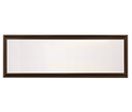 Majestic Echelon II 48" See-Through Direct Vent Linear Gas Fireplace (ECHEL48STIN-C)
