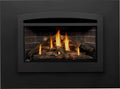 Napoleon Rosedale 3 Direct Vent Gas Fireplace Insert | RD3N