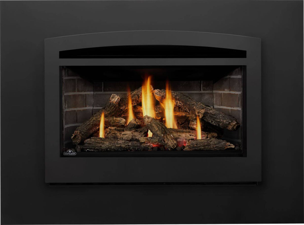 Napoleon Rosedale 3 Direct Vent Gas Fireplace Insert | RD3N