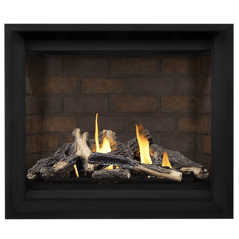 Napoleon Altitude X 42" Direct Vent Fireplace | AX42-2 - view 9
