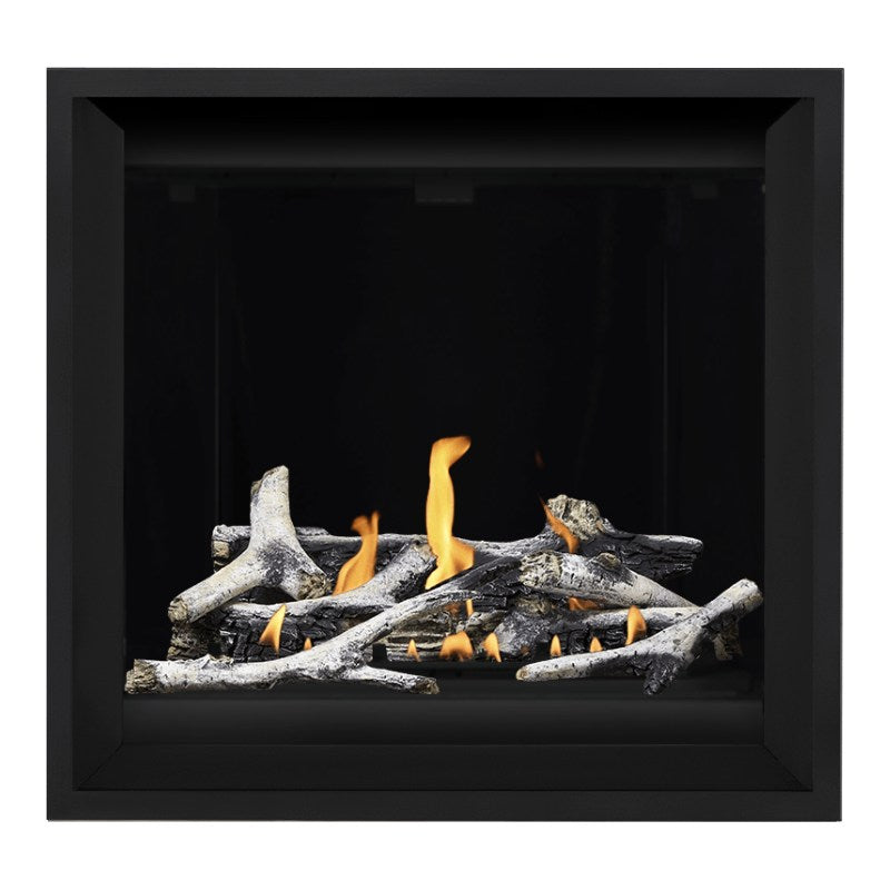Napoleon Altitude X 36" Direct Vent Fireplace | AX36-2 - view 22