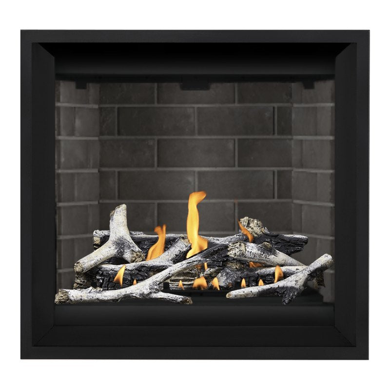 Napoleon Altitude X 36" Direct Vent Fireplace | AX36-2 - view 24