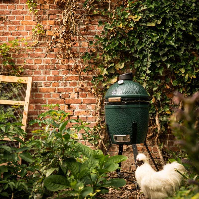 Small Big Green Egg – view 2