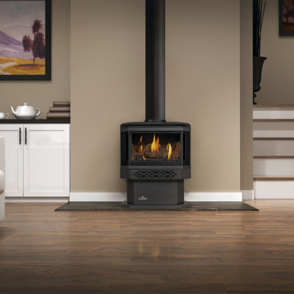 Napoleon Haliburton Direct Vent Gas Stove | GDS28