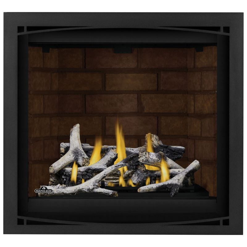 Napoleon Altitude X 36" Direct Vent Fireplace | AX36-2 - view 19