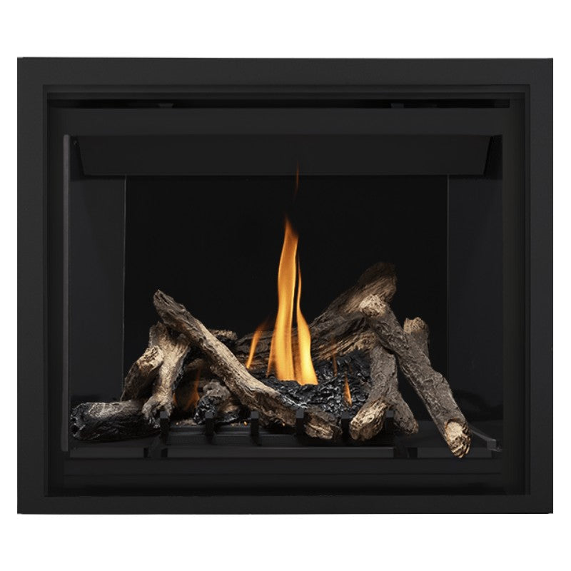 Napoleon Altitude 42" Direct Vent Fireplace | A42 - view 24