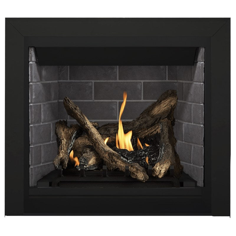 Napoleon Altitude 36" Direct Vent Fireplace | A36 - view 42