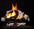 Hearth & Home Technologies 18" 2-Tier Grand Birch cement log set for Biltmore 36" and Cottagewood 36" (2TR-BRCH18)