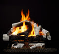 Hearth & Home Technologies 24" 2-Tier Grand Birch cement log set for Biltmore 42" and Cottagewood 42" (2TR-BRCH24)