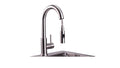 Lynx Professional Gooseneck Pull Down Faucet (LPFK)