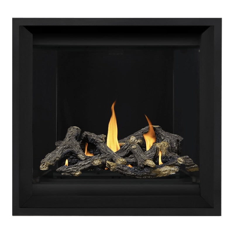 Napoleon Altitude X 36" Direct Vent Fireplace | AX36-2 - view 28