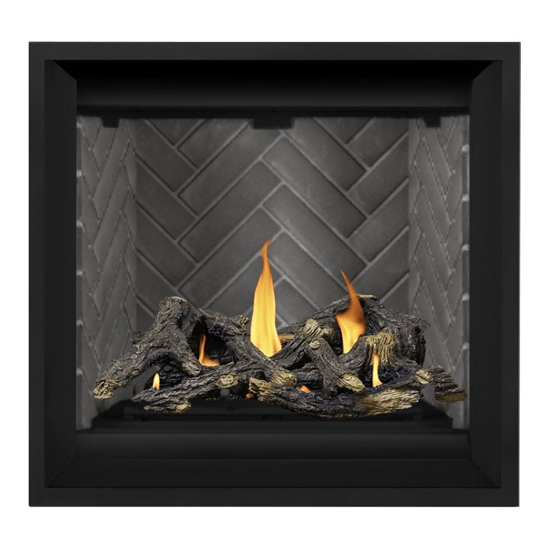 Napoleon Altitude X 36" Direct Vent Fireplace | AX36-2 - view 25