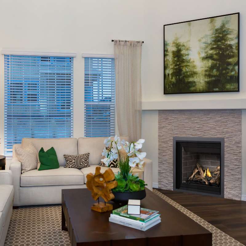 Napoleon Altitude 36" Direct Vent Fireplace | A36