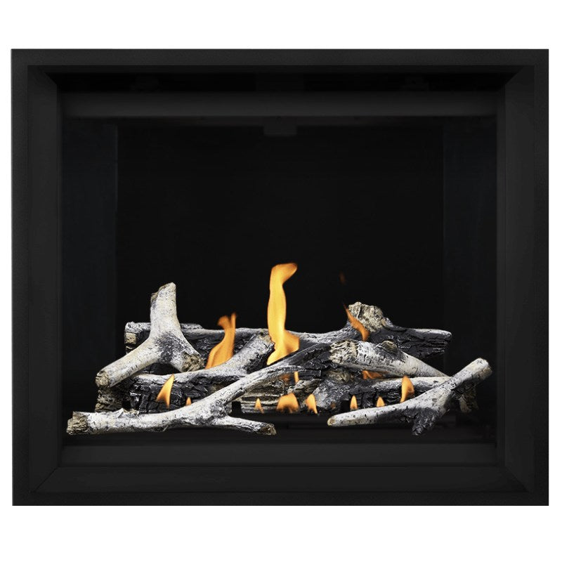 Napoleon Altitude X 42" Direct Vent Fireplace | AX42-2 - view 22