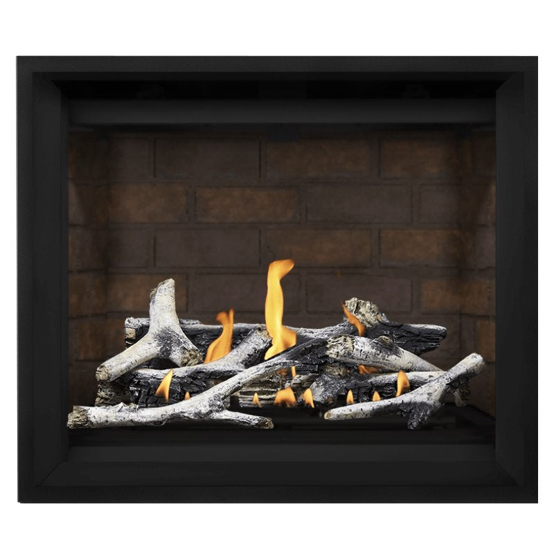 Napoleon Altitude X 42" Direct Vent Fireplace | AX42-2 - view 19