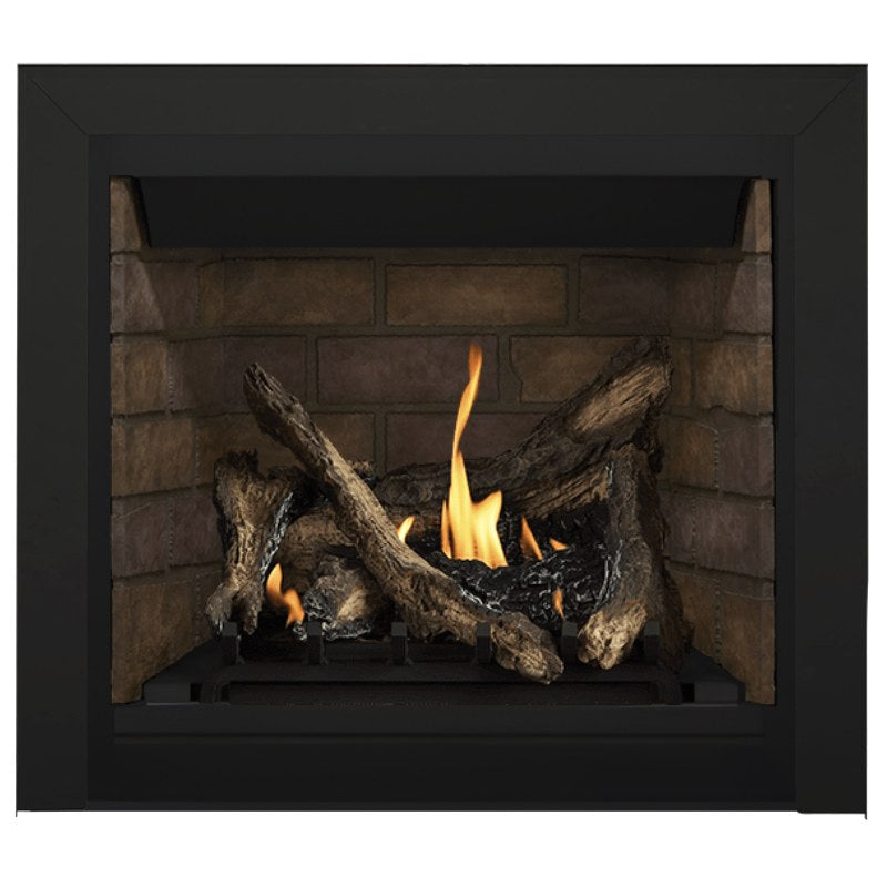 Napoleon Altitude 36" Direct Vent Fireplace | A36 - view 41