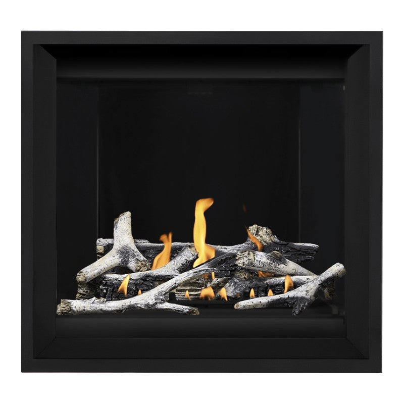 Napoleon Altitude X 36" Direct Vent Fireplace | AX36-2 - view 26