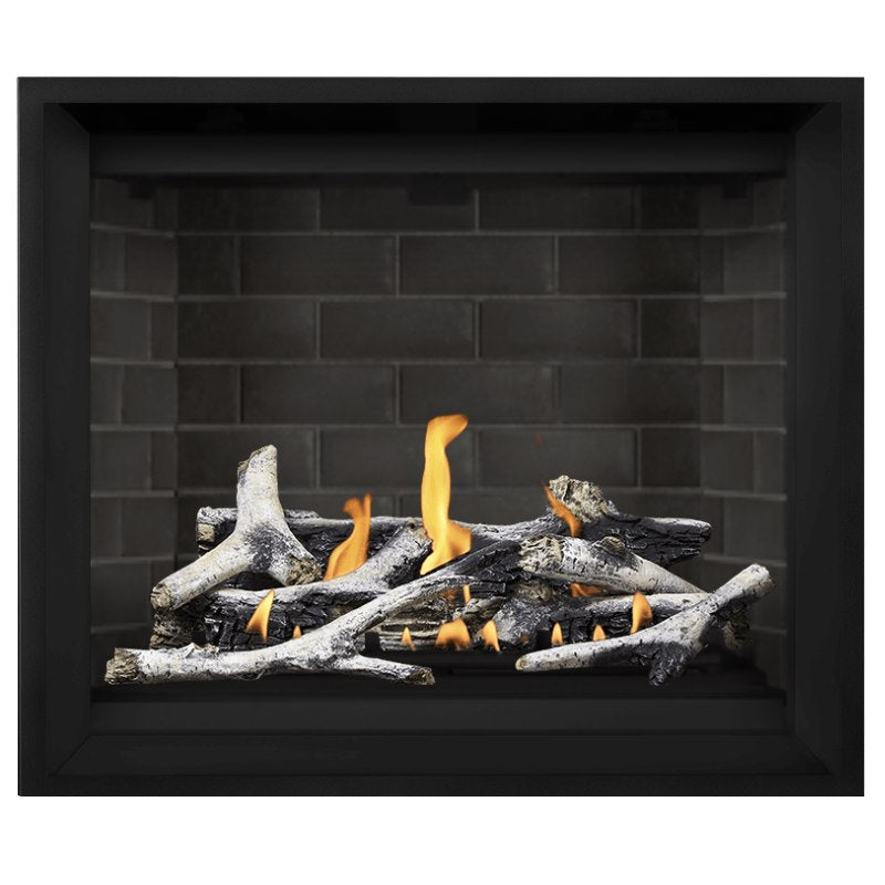 Napoleon Altitude X 42" Direct Vent Fireplace | AX42-2 - view 20