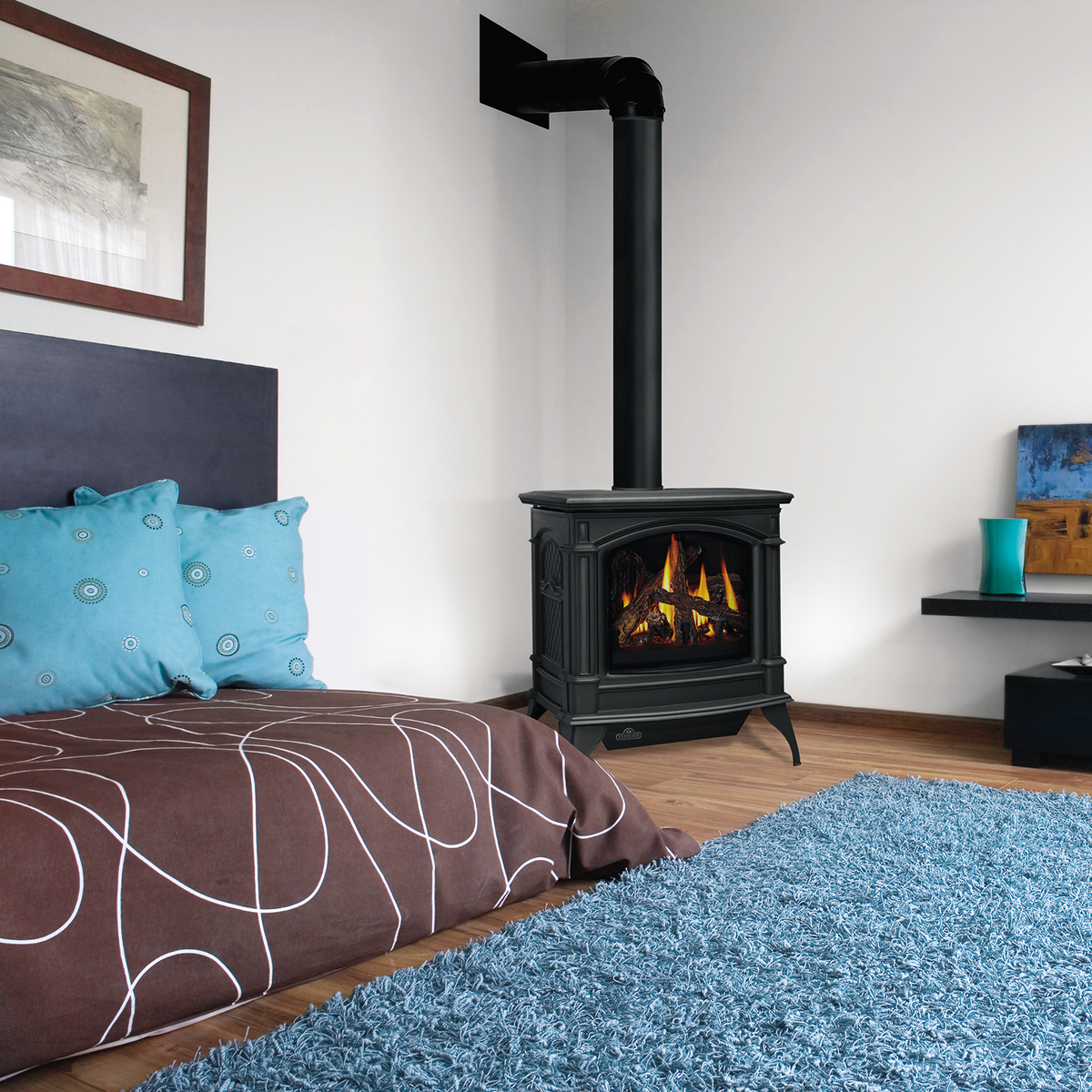 Napoleon Knightsbridge Direct Vent Cast Iron Gas Stove | GDS60